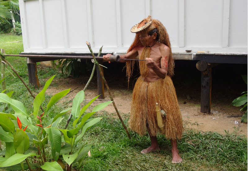 Illustration for article titled Into The Amazon: Boats, Breakfast And Blowguns